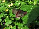 155-5544_IMG.jpg
