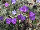 122-2248_IMG.jpg