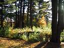 103-0338_IMG.jpg