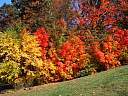106-0649_IMG.jpg