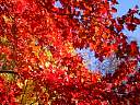 106-0656_IMG.jpg