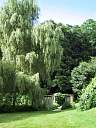 132-3269_IMG.jpg