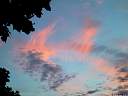 105-0539_IMG_BC0.jpg