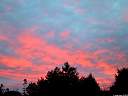 110-1013_IMG.jpg