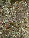 149-4981_IMG.jpg