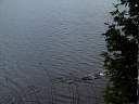 150-5046_IMG.jpg